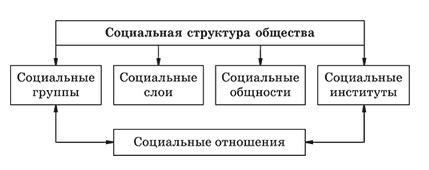 Схема социальная структура