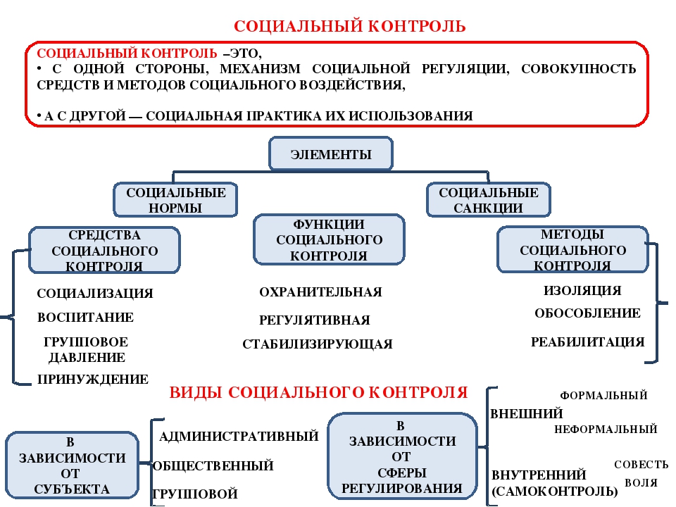 Социальный статус план егэ